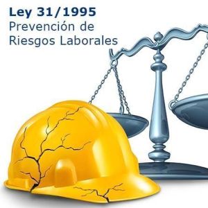 Curso Básico Ley 31/1995 de Prevención de Riesgos Laborales