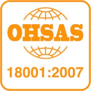 Curso de Implantación y Auditoría Sistemas de Gestión OHSAS 18001:2007